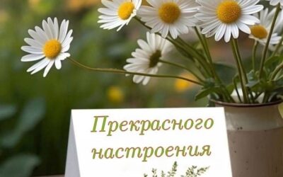 Новая неделя