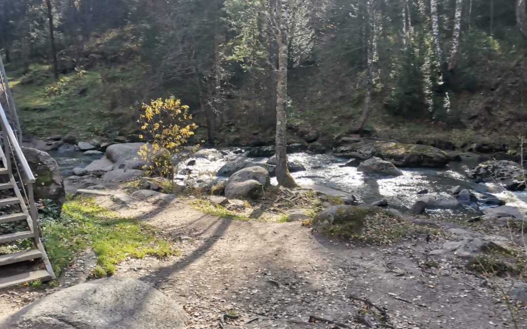 Афиша на 17 апреля 2026 Белокуриха сан. «Алтайский замок»