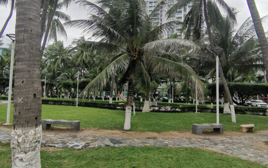 Наш отдых в Вьетнаме