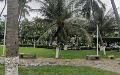 Наш отдых в Вьетнаме