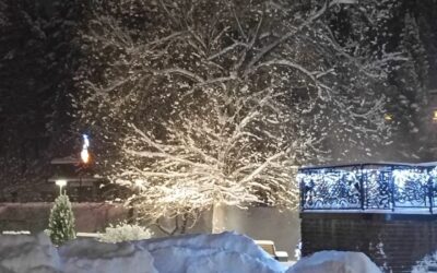 Рождественские Встречи